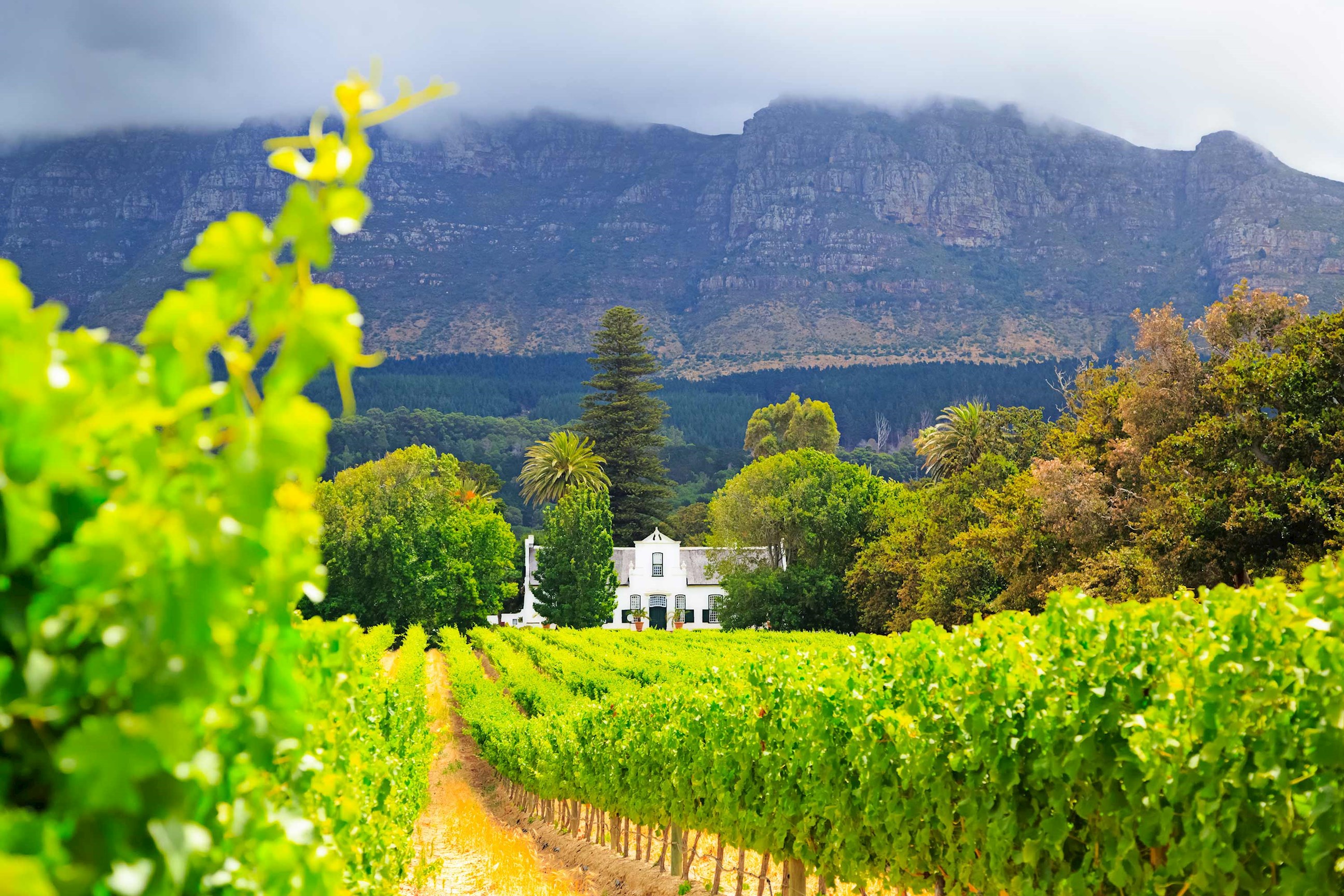 cape-dutch-manor-house-cape-town-south-africa.jpg