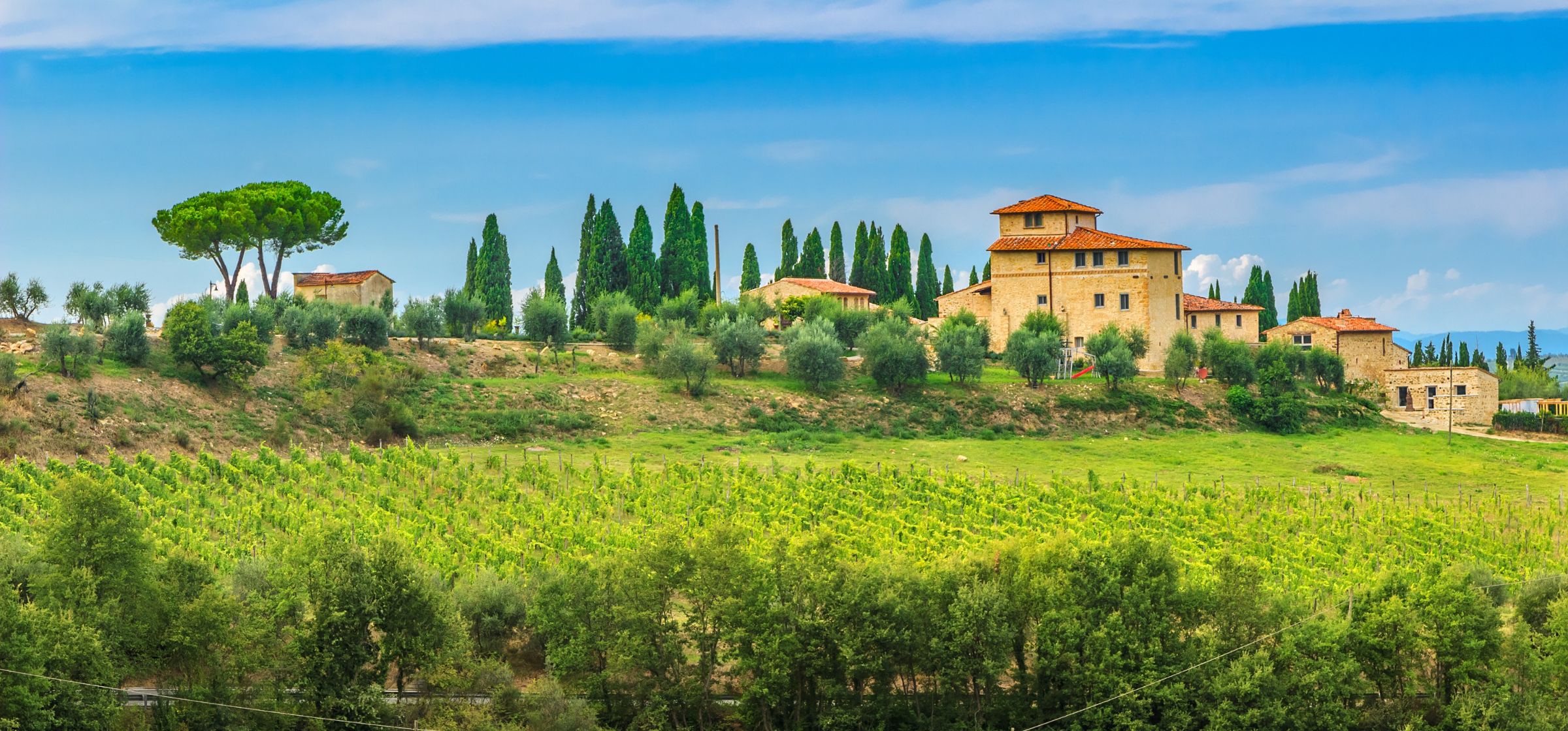 House and green hills of vineyard in Tuscany, Italy