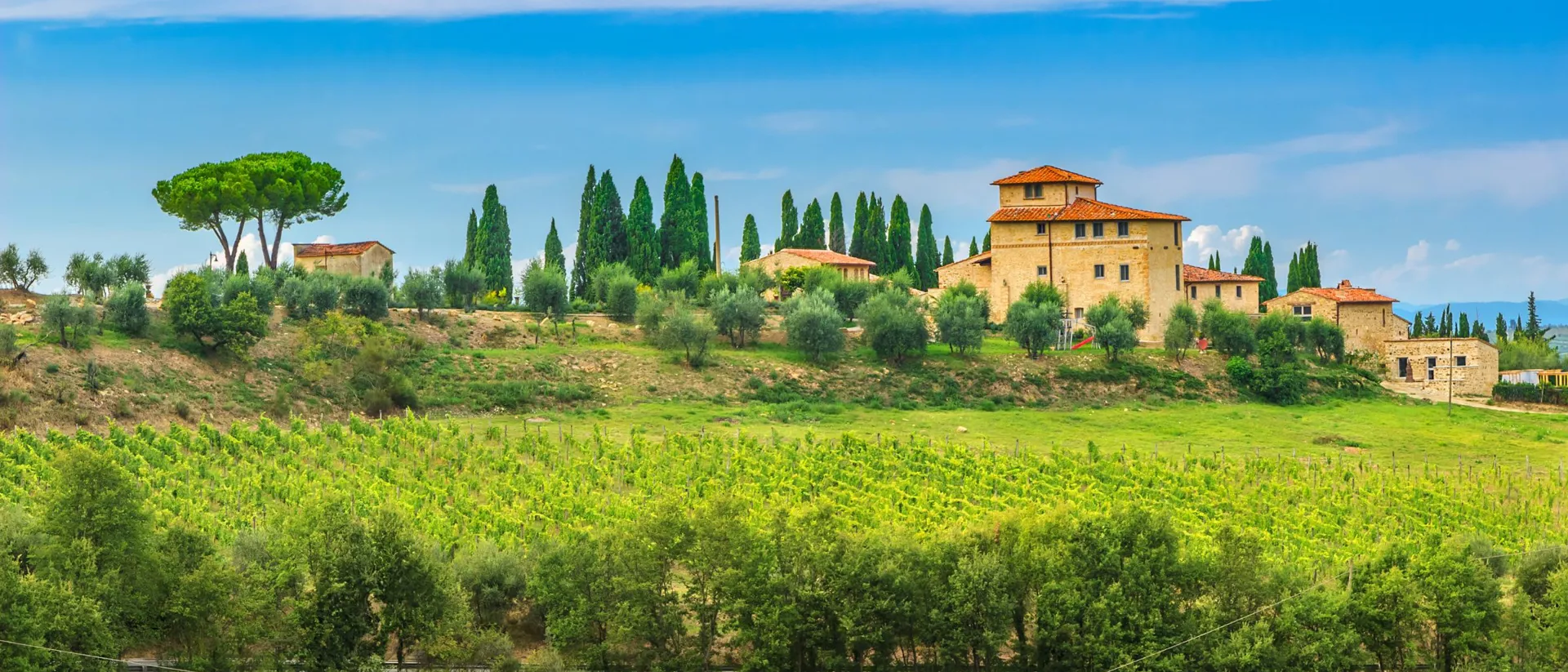 House and green hills of vineyard in Tuscany, Italy