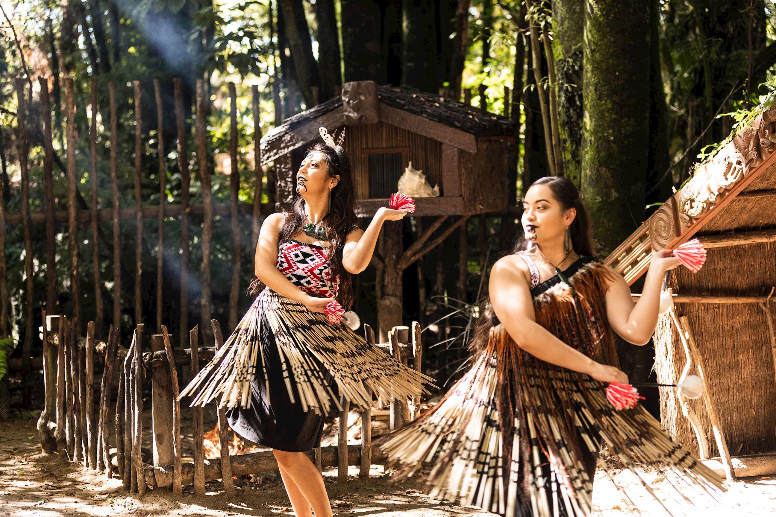 poi-performance-rotorua-new-zealand.jpg
