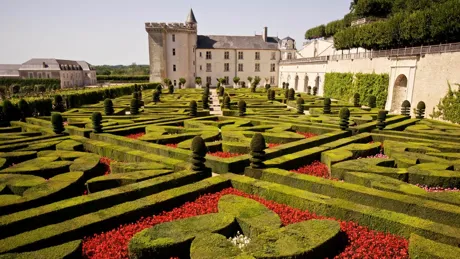Hedge maze in gardens surrounding Villandry Castle in France