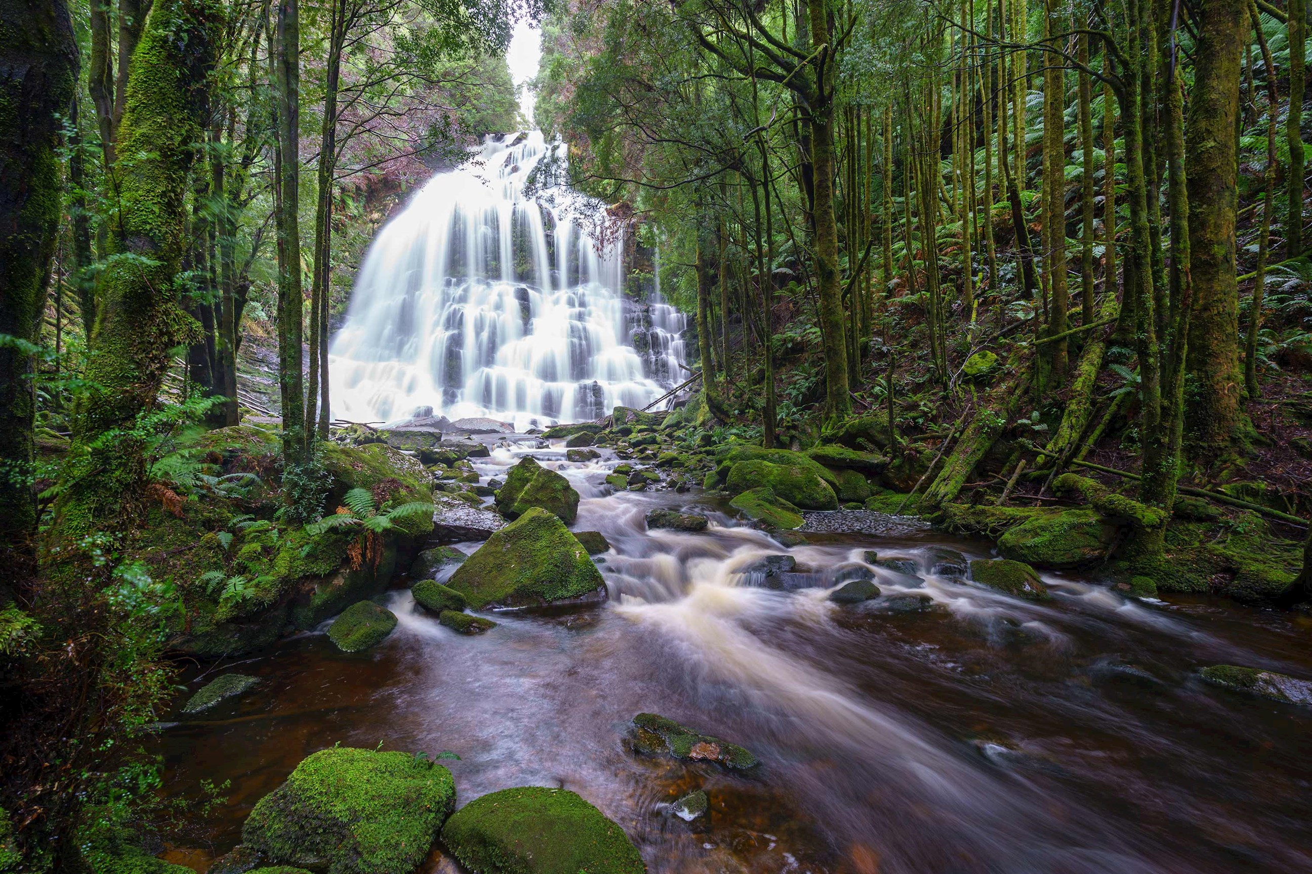 waterfall-russell-falls-australia.jpg