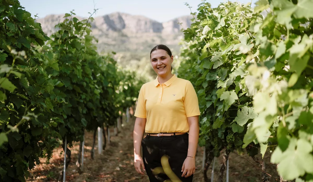 Botaro Family Winery Croatia