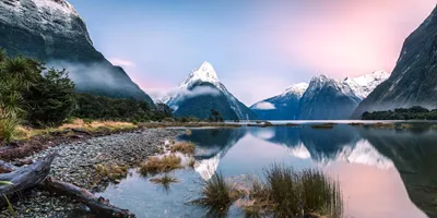 Contrasts of New Zealand Guided Tour