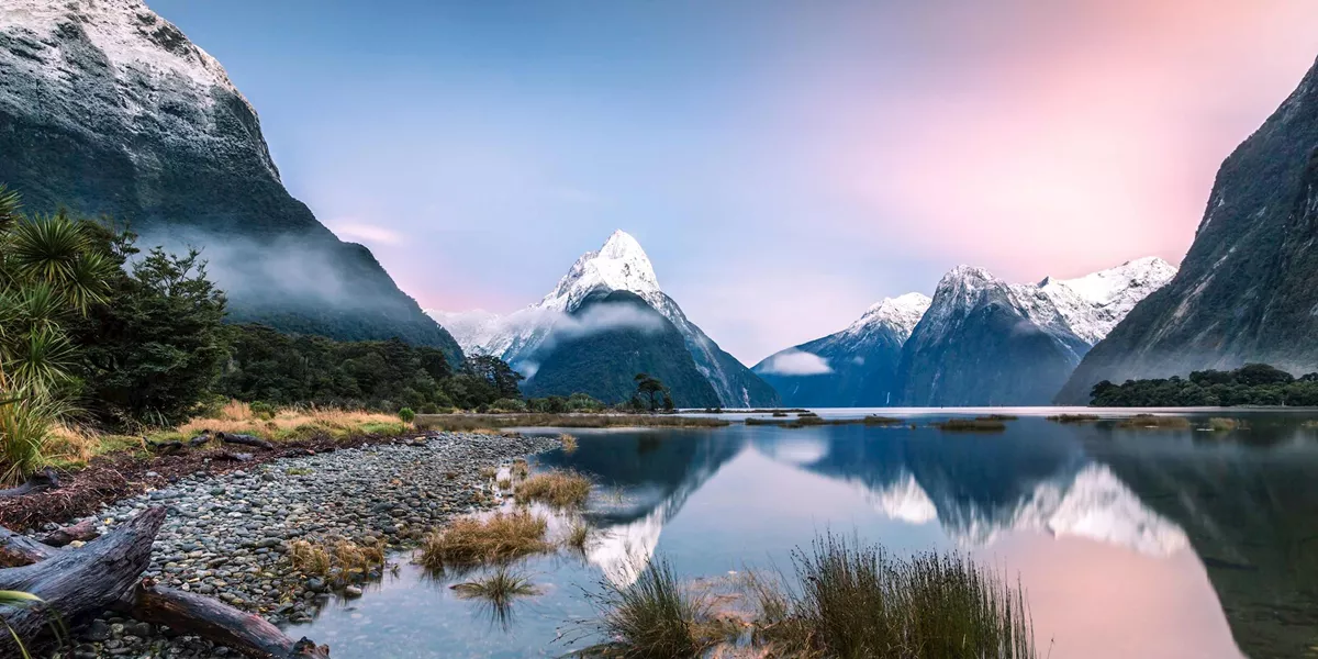 Contrasts of New Zealand Guided Tour