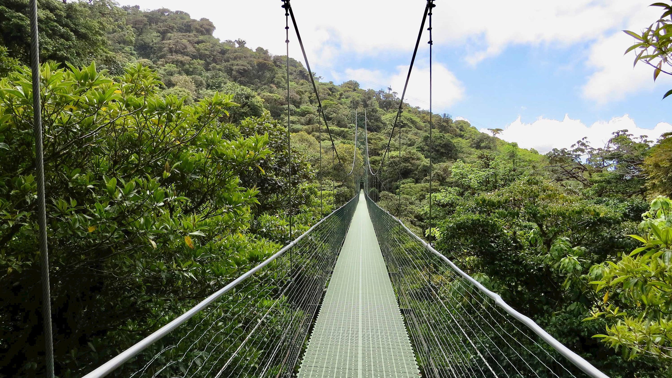 sky-walk-tour-monteverde-cloud-forest-costa-rica-iv.jpg