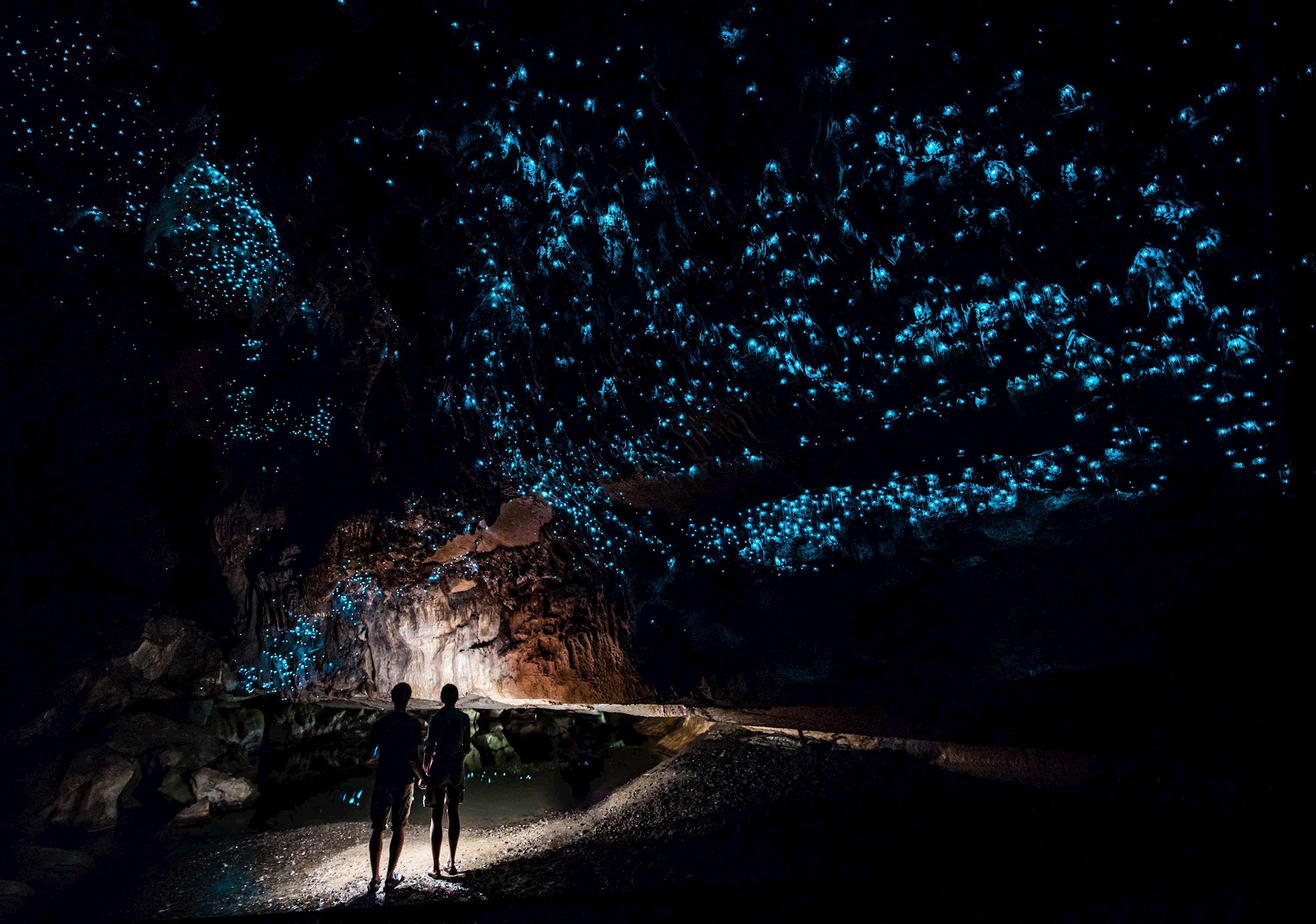 glow-worm-sky-cave-new-zealand.jpg