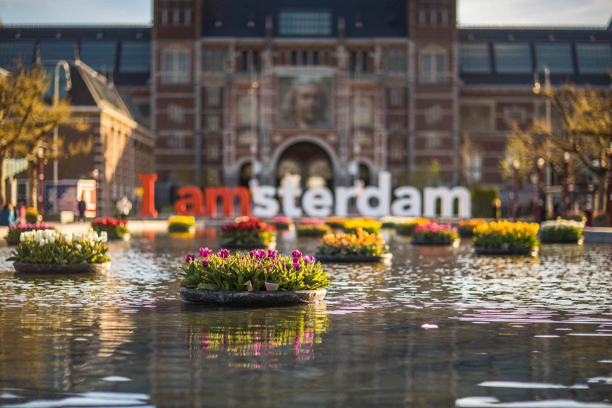 rijksmuseum-amsterdam-netherlands.jpg