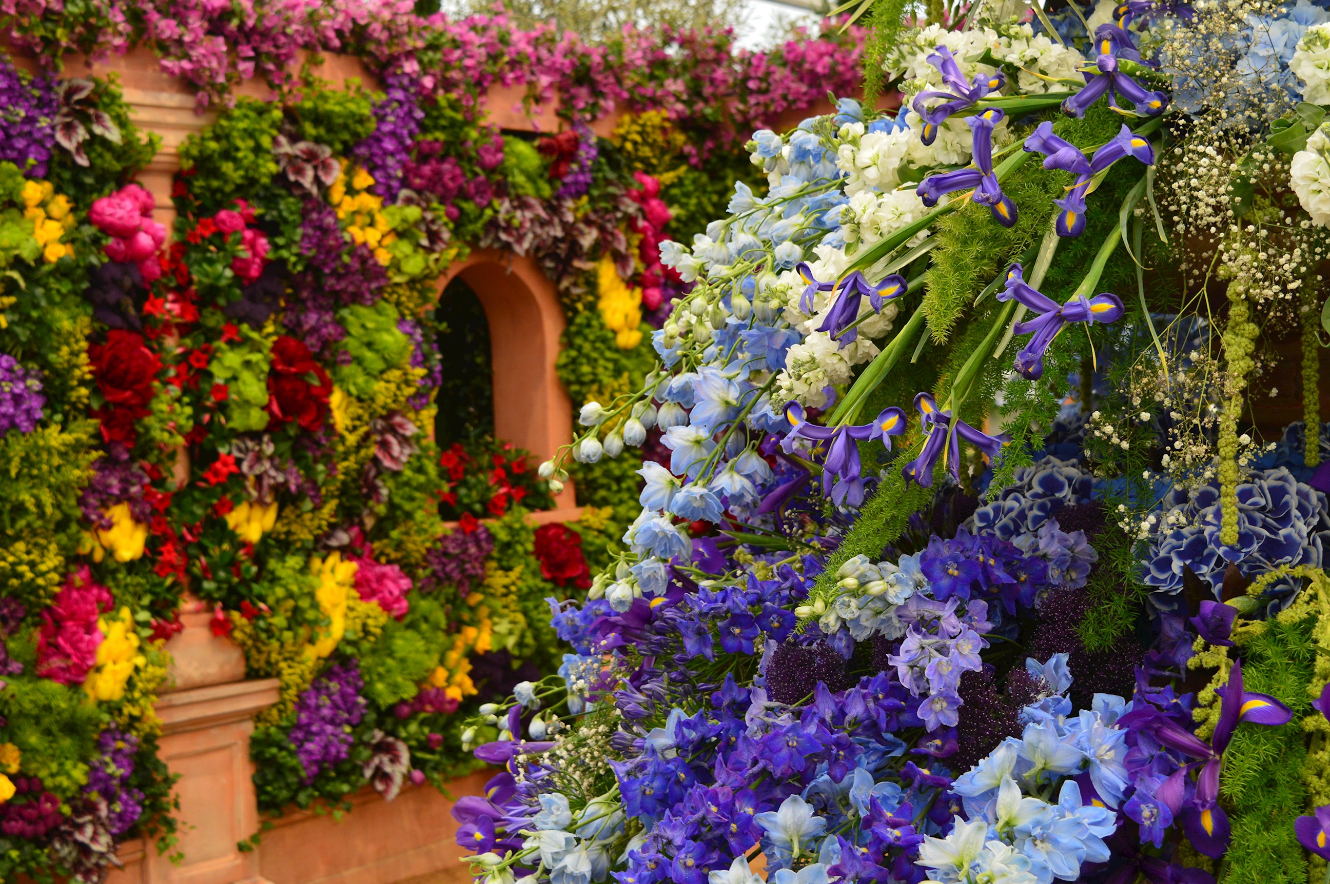chelsea-flower-show-london-england-1.jpg