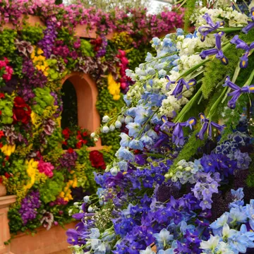 chelsea-flower-show-london-england-1.jpg