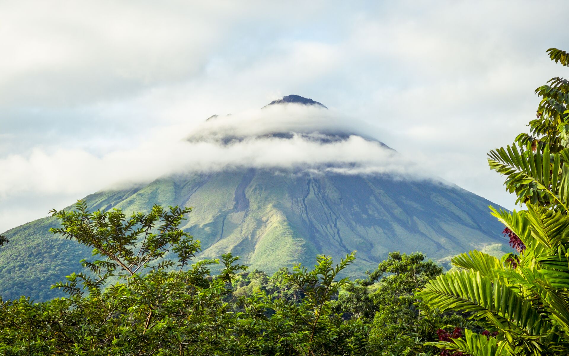 Arenal Volcano in Costa Rica with a jungle in the foreground