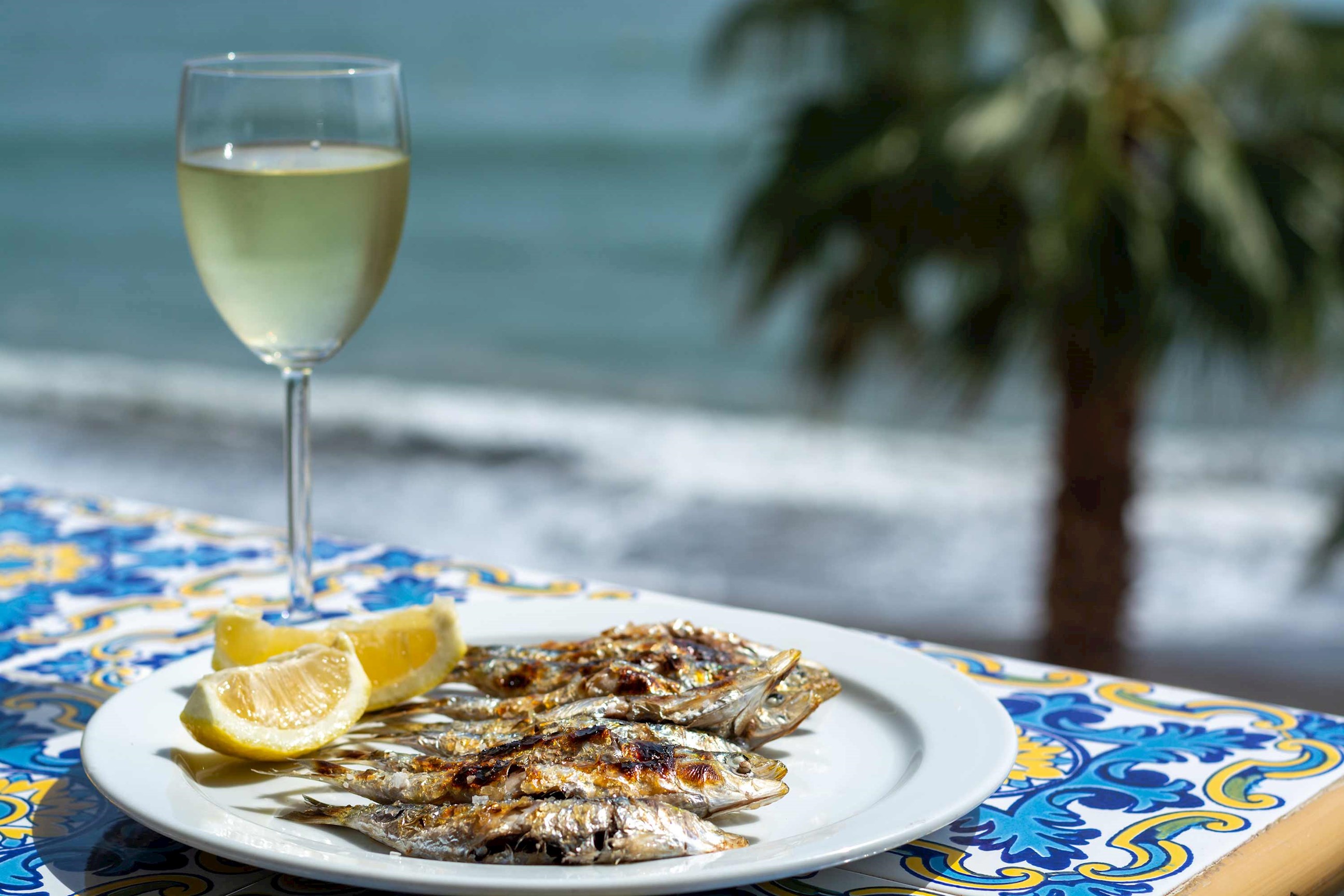 guided-tour-marbella-puerto-banus-dinner-spain.jpg