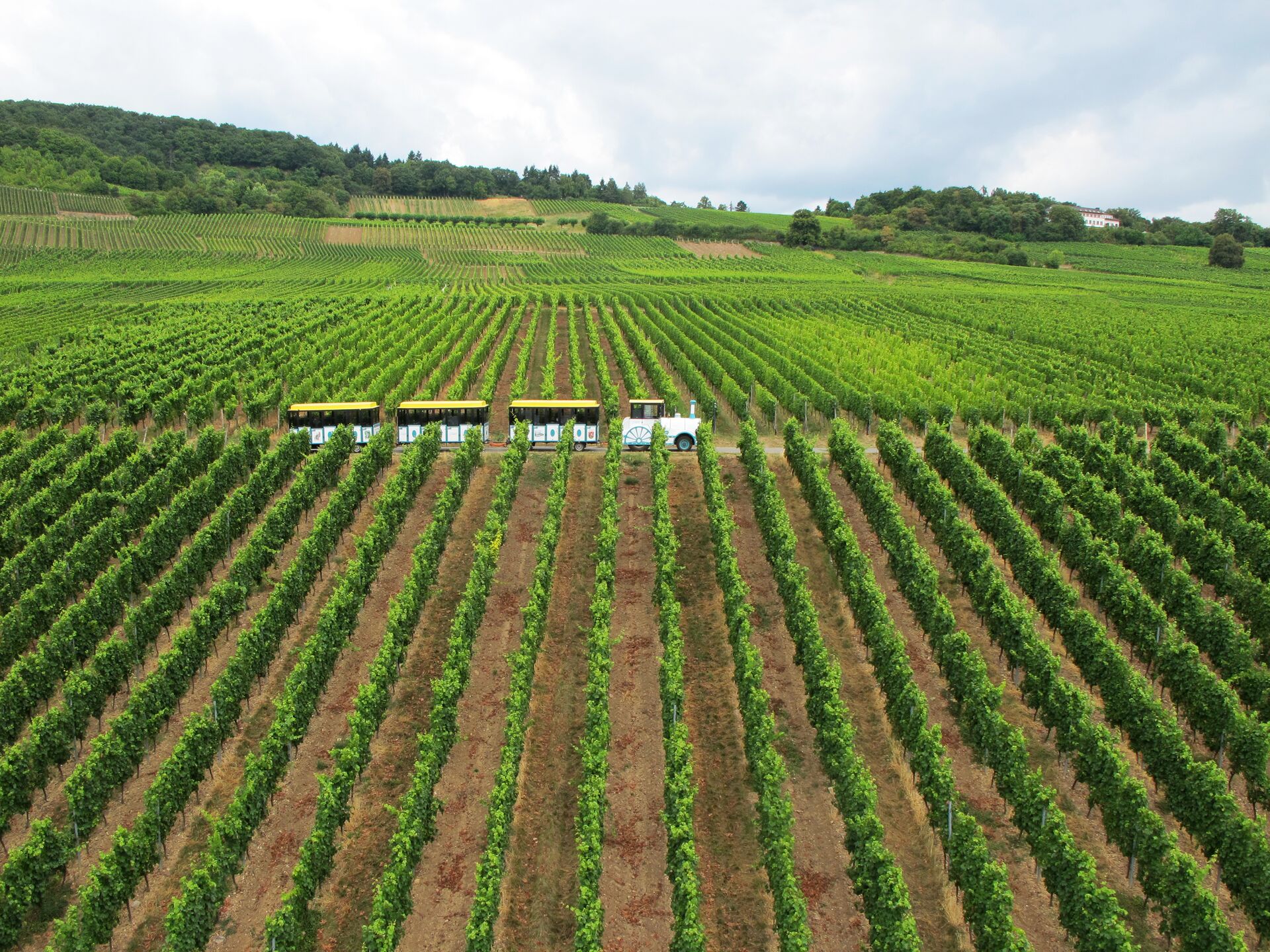 Large Getty 541916370