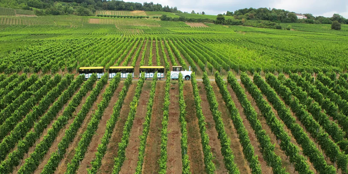 Large Getty 541916370