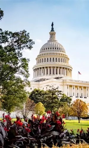 Washington DC Capitol Building, USA