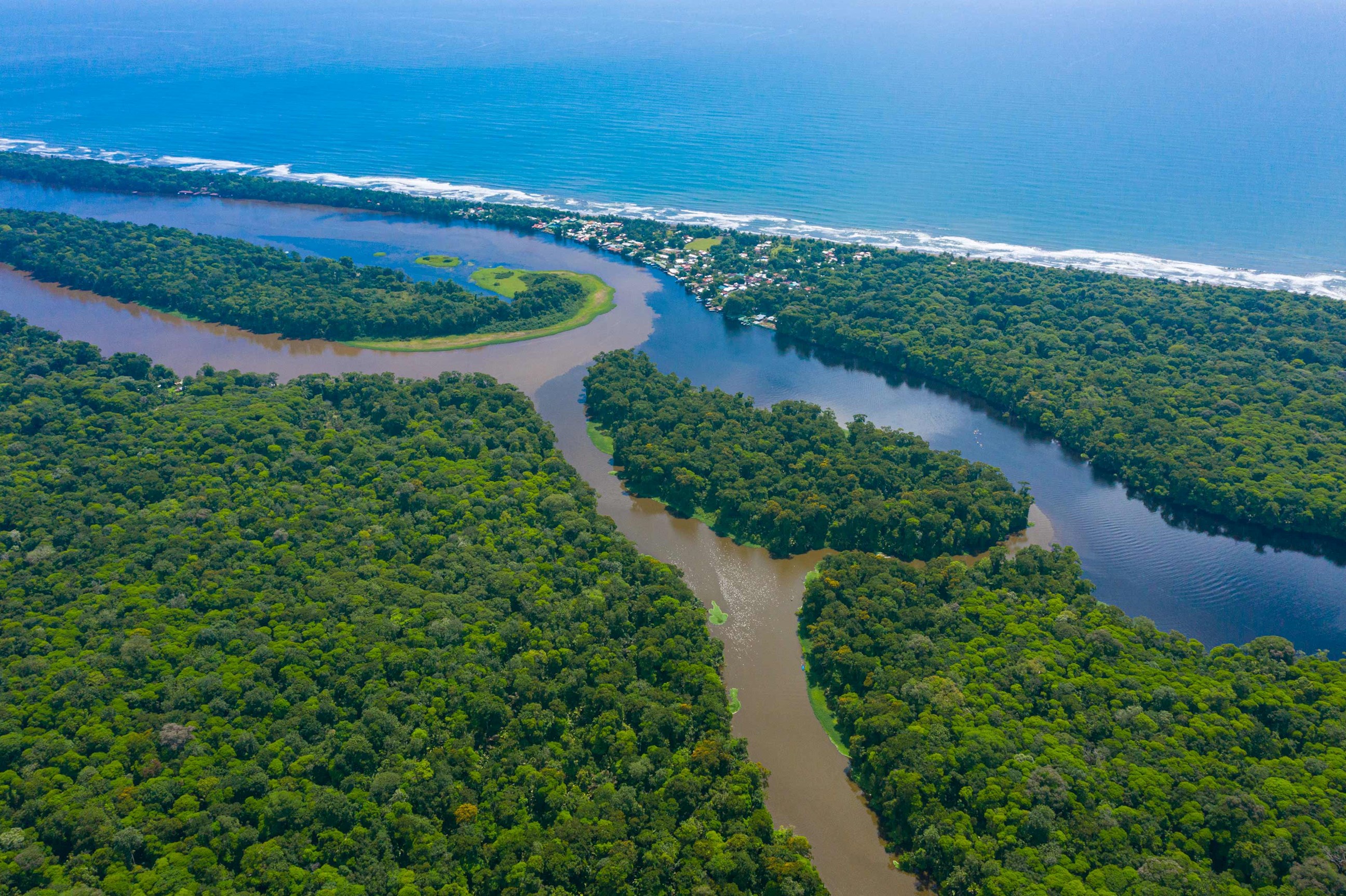 take-boat-tour-down-tortugero-river-in-costa-rica.jpg