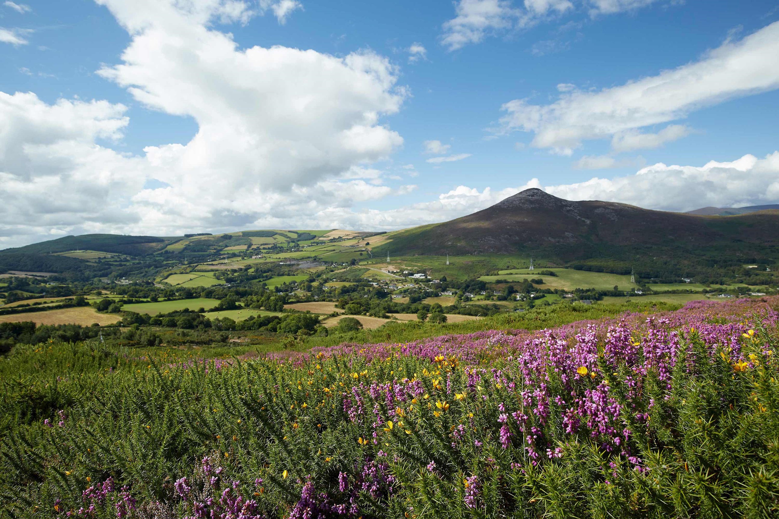 the-sugarloaf-mountain-co-wicklow-ireland.jpg