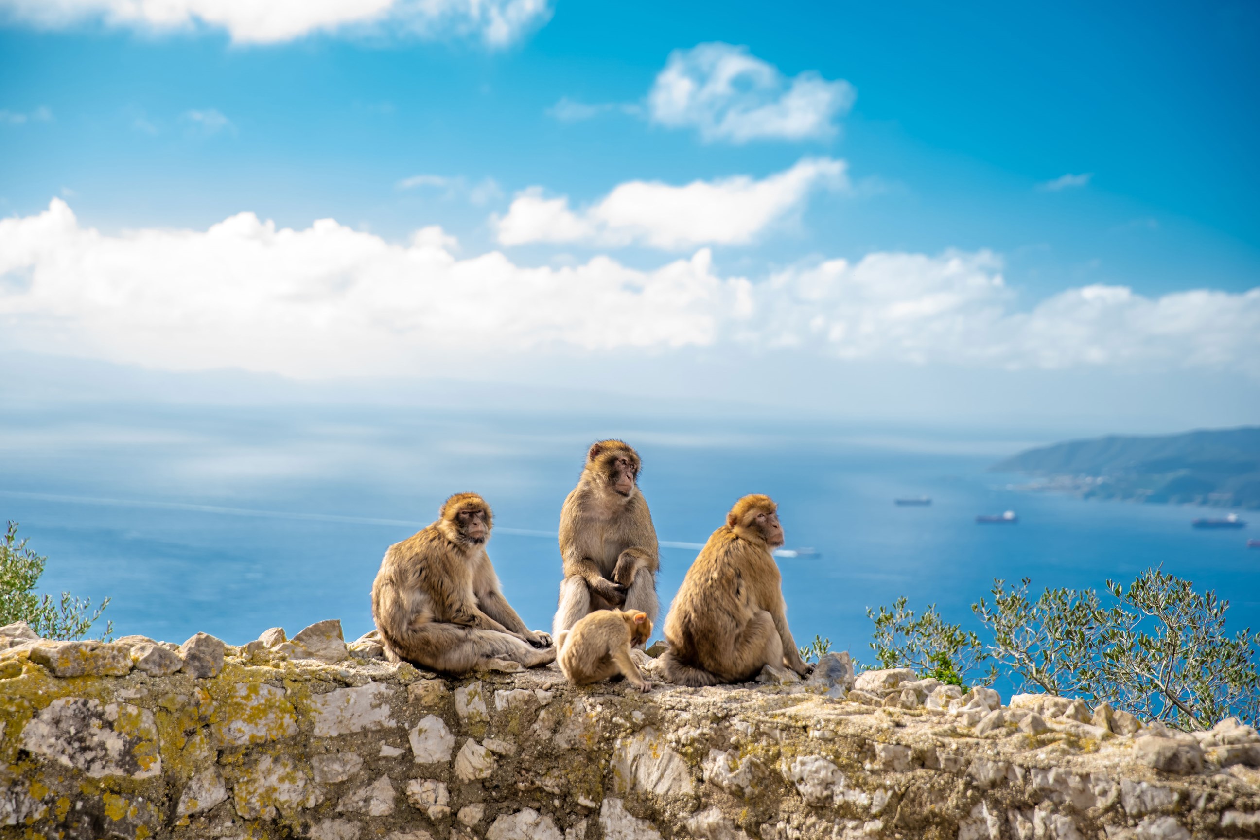 on-to-costa-del-sol-gibraltar.jpg