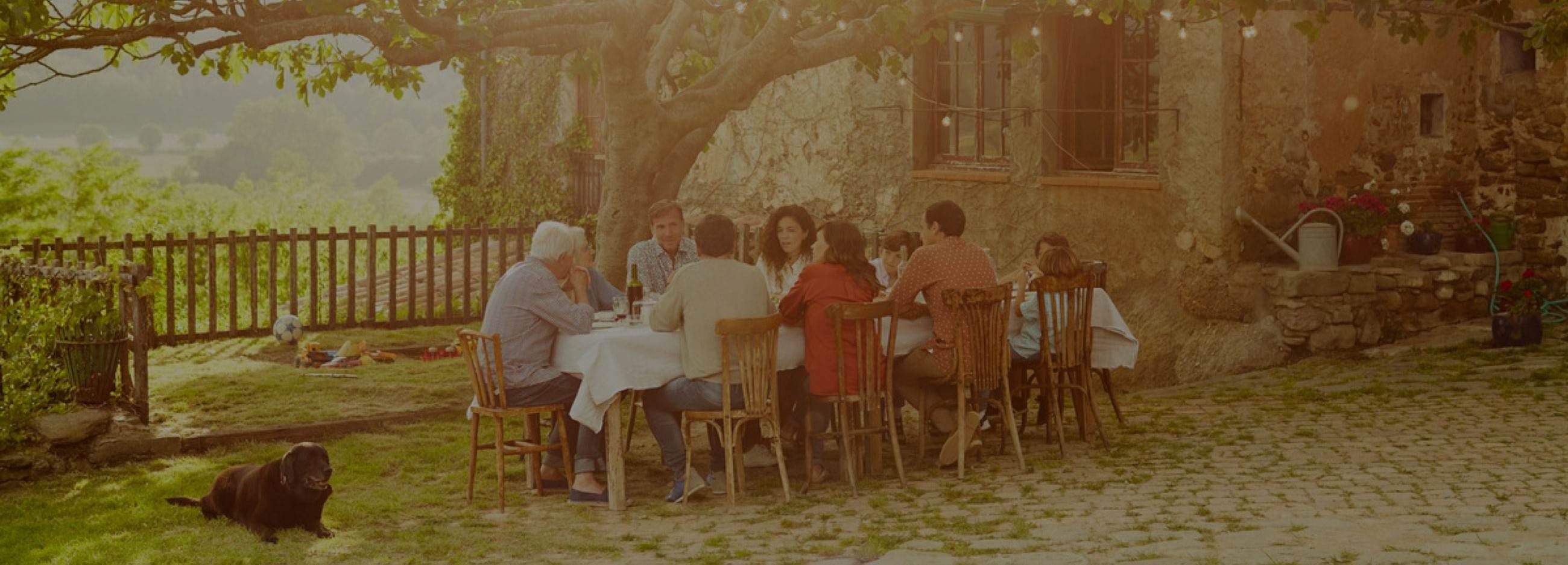 Guests having a lunch in a garden