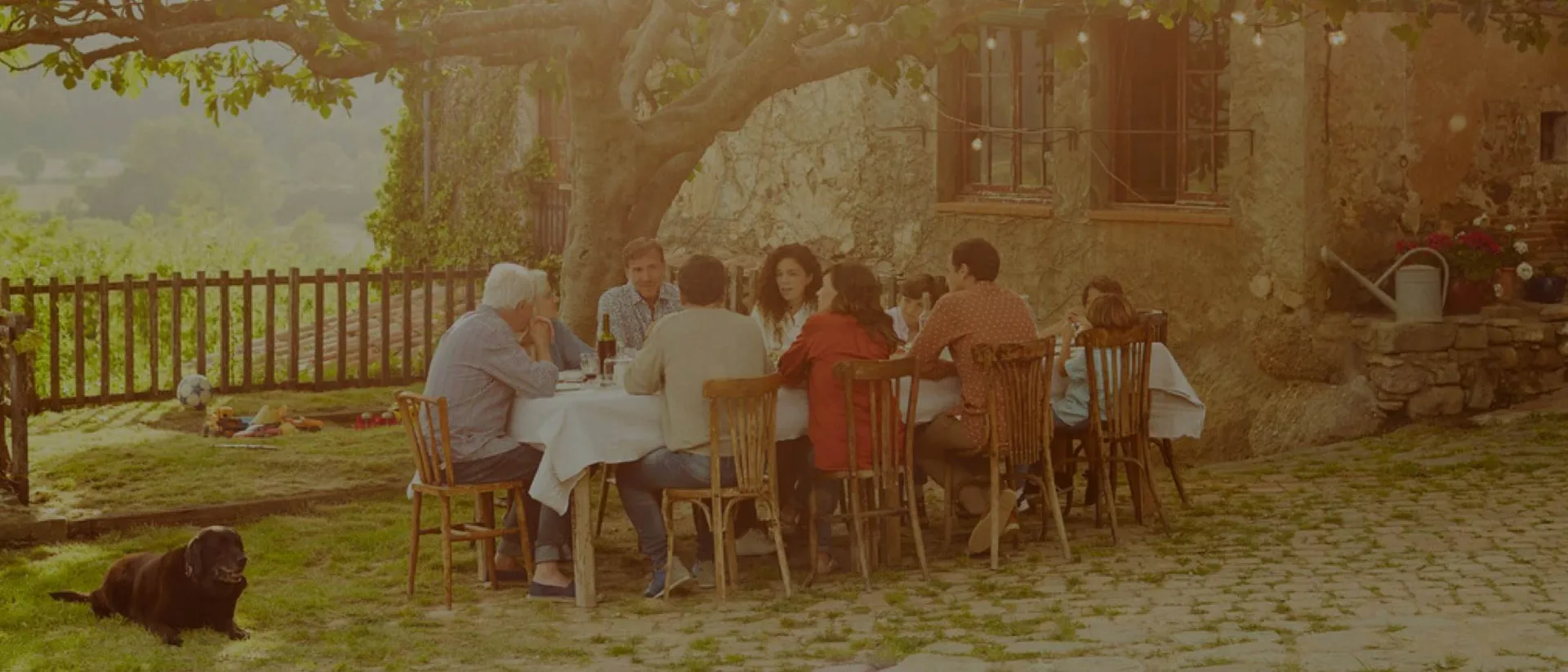 Guests having a lunch in a garden