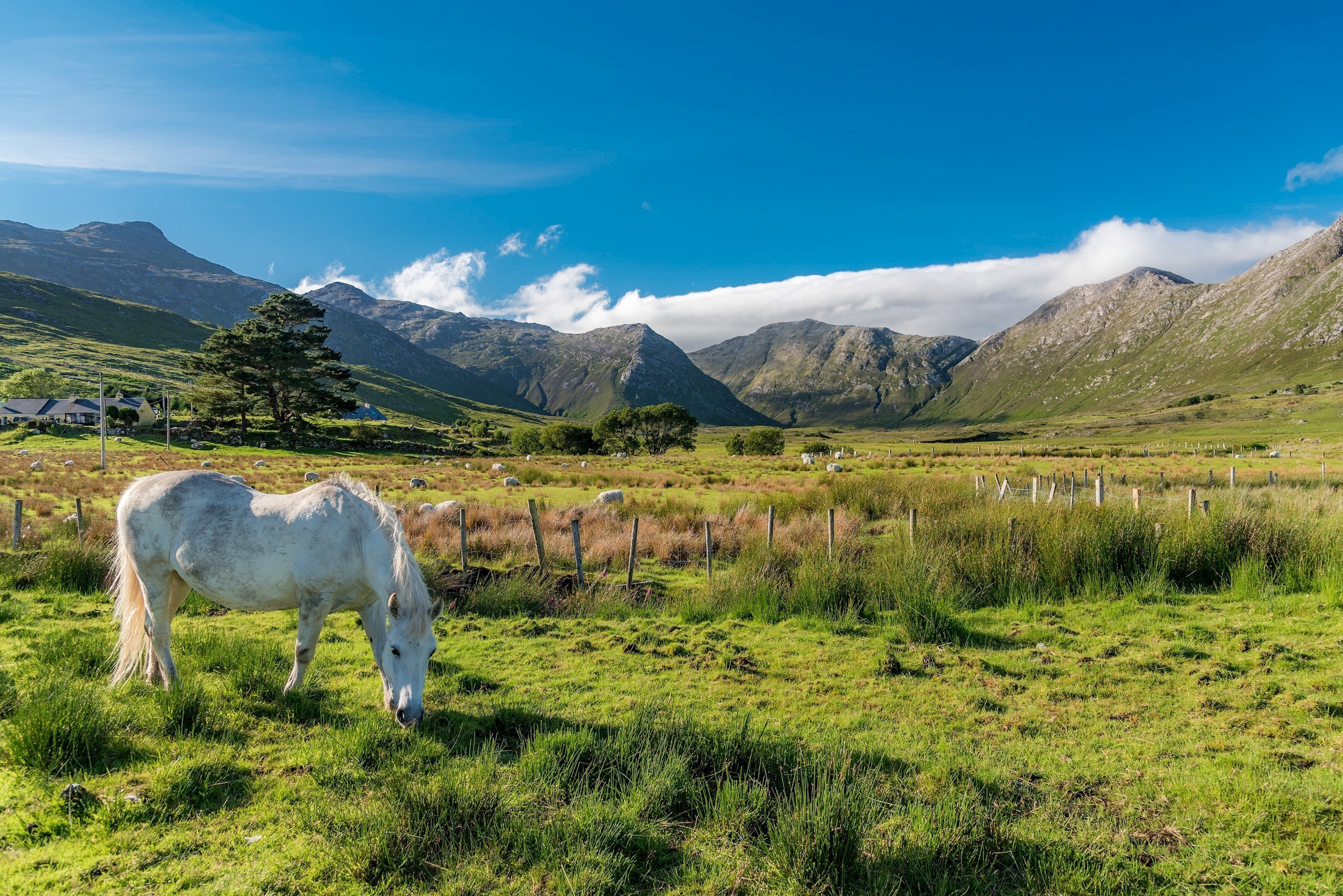 scenery-connemara-ireland.jpg