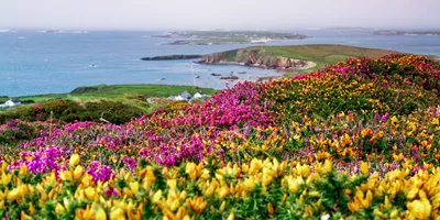 Amazing Ireland Guided Tour