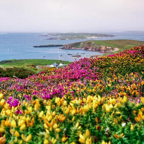 Amazing Ireland Guided Tour