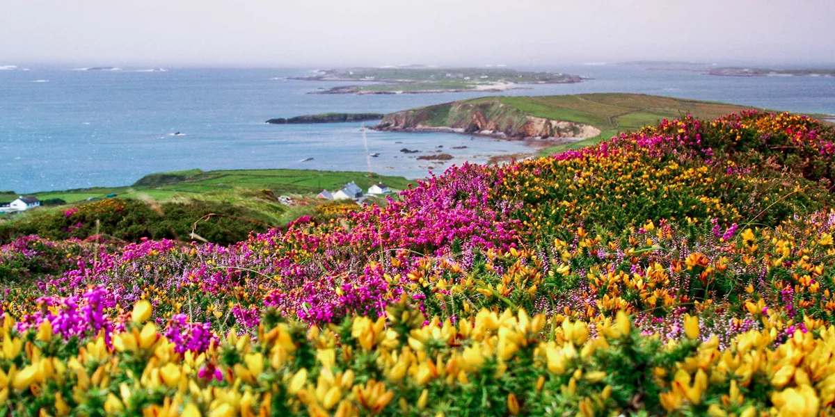 Amazing Ireland Guided Tour