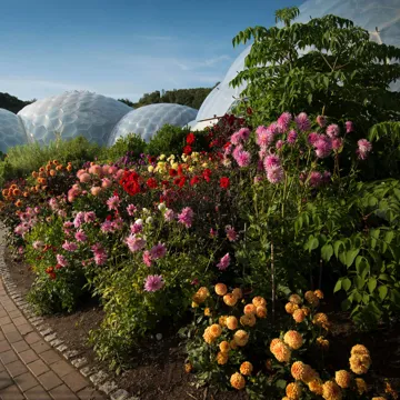 eden-project-visit-cornwall-england.jpg