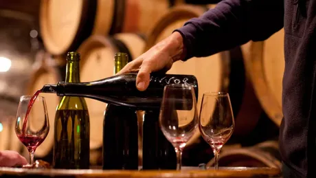 Burgundy Wine Tasting