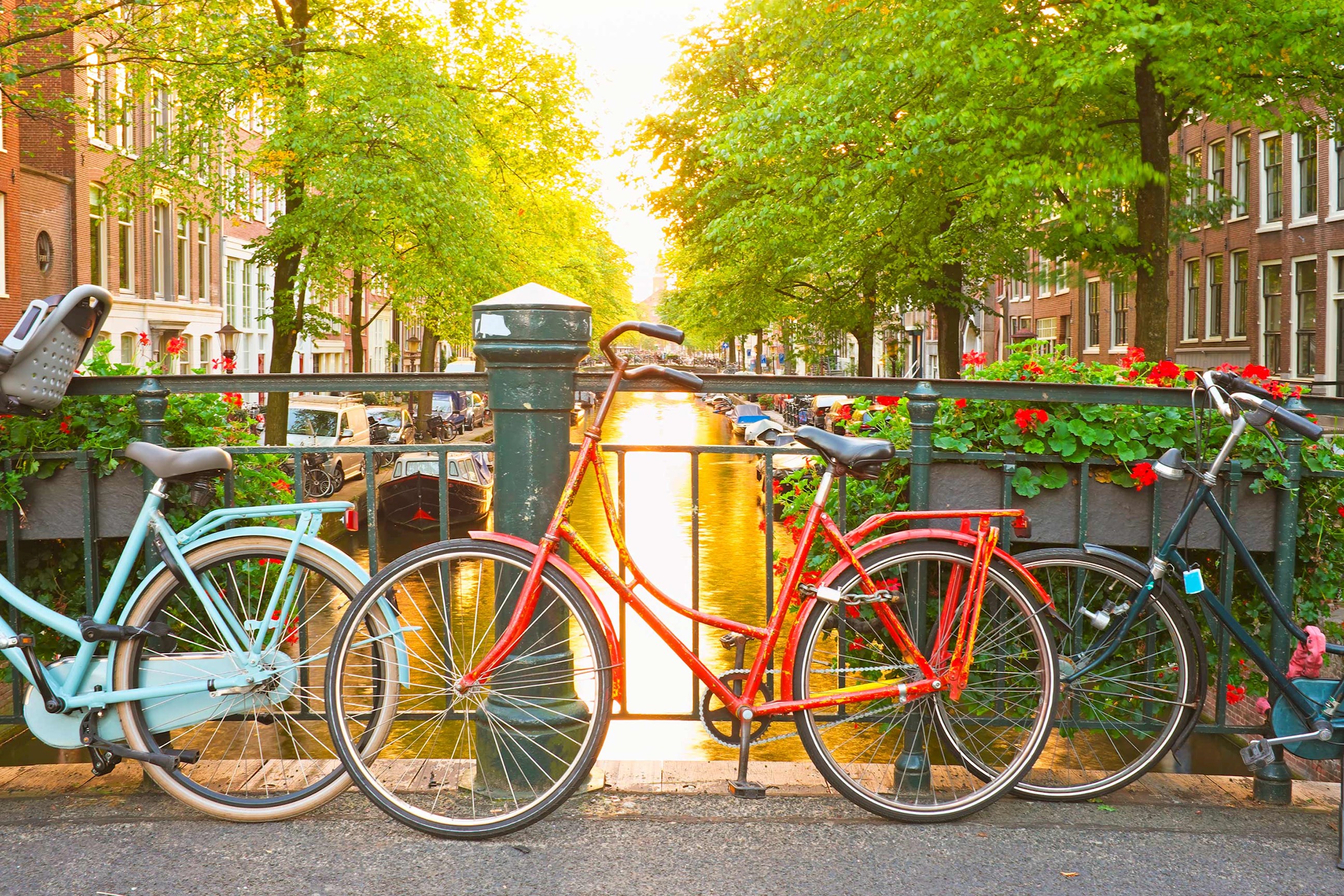 bike-canal-amsterdam-netherlands.jpg