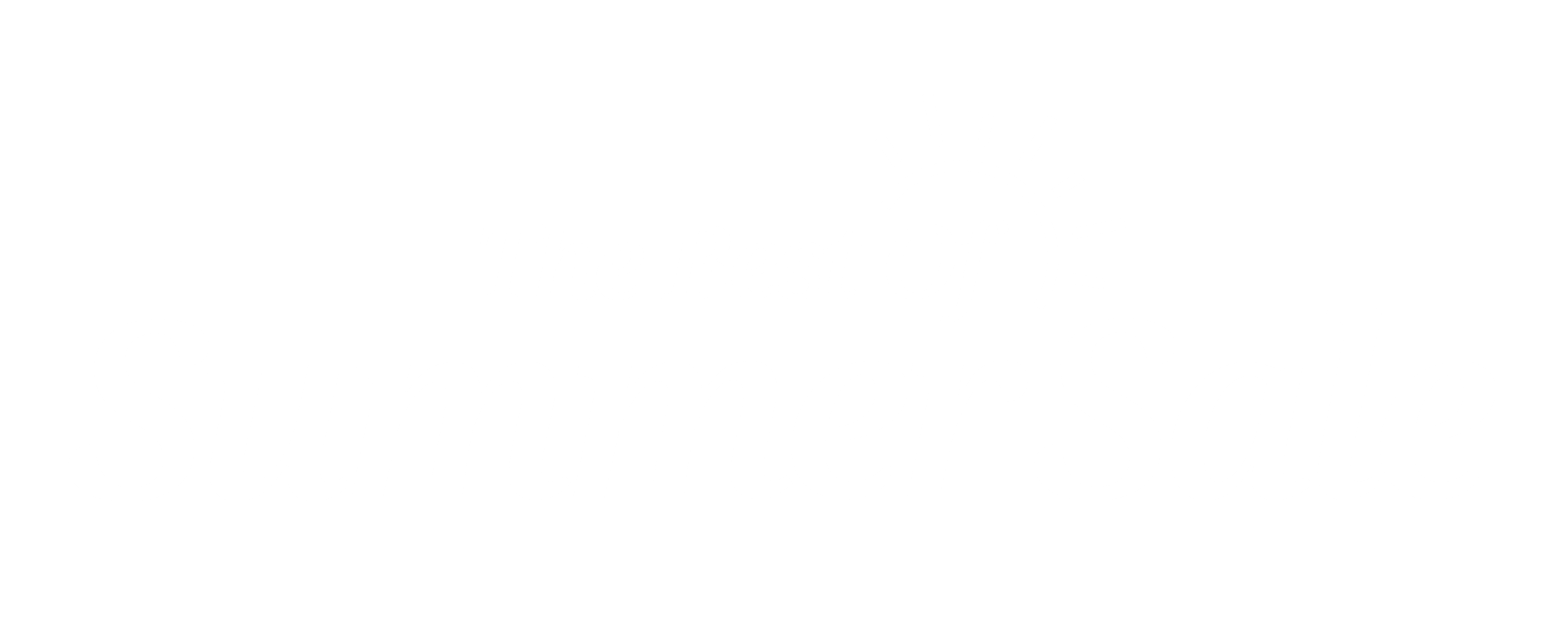 TT BOSS Standard Horizontal Logo White