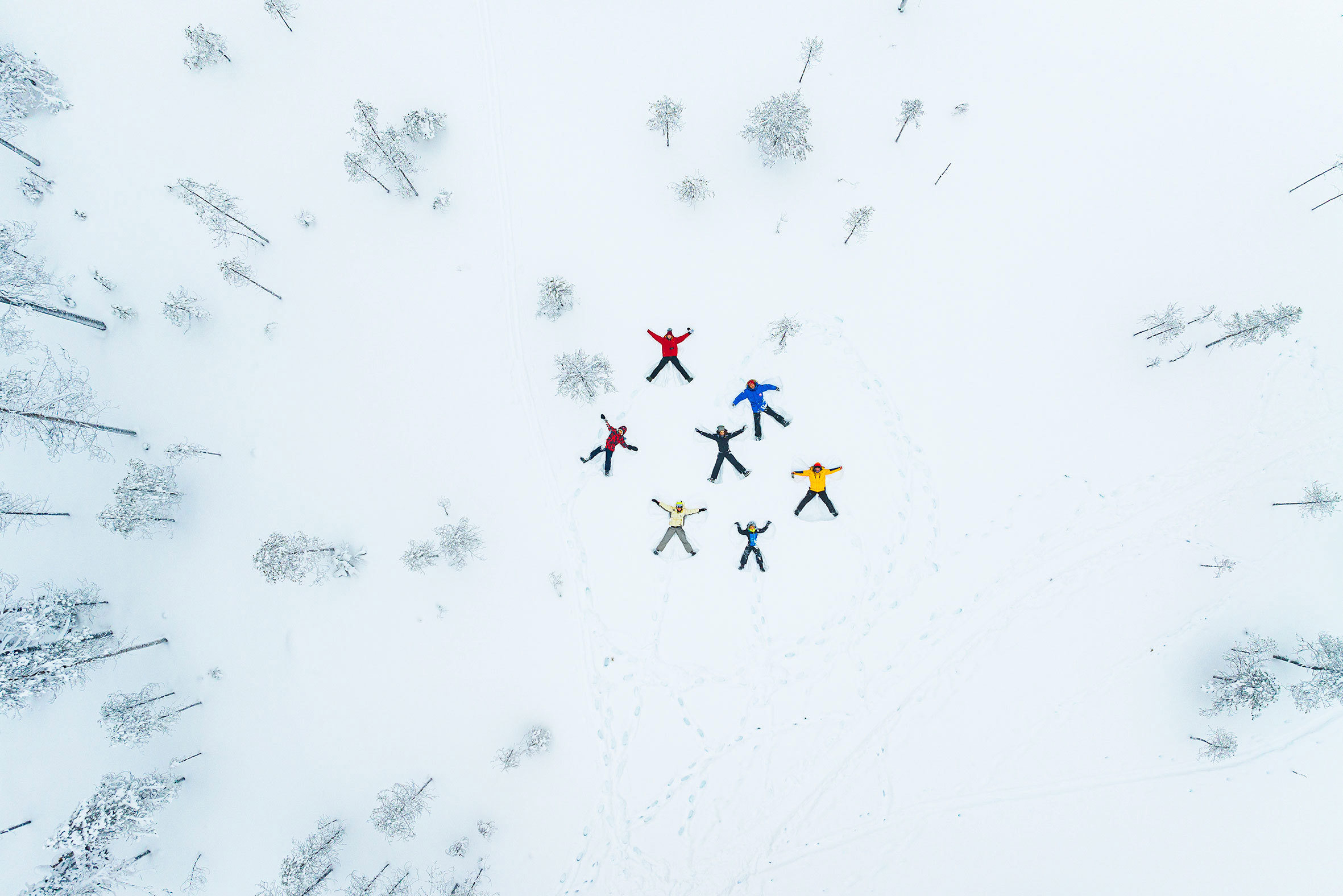 White Frozen Landscape ,Finnish Lapland, Finland
