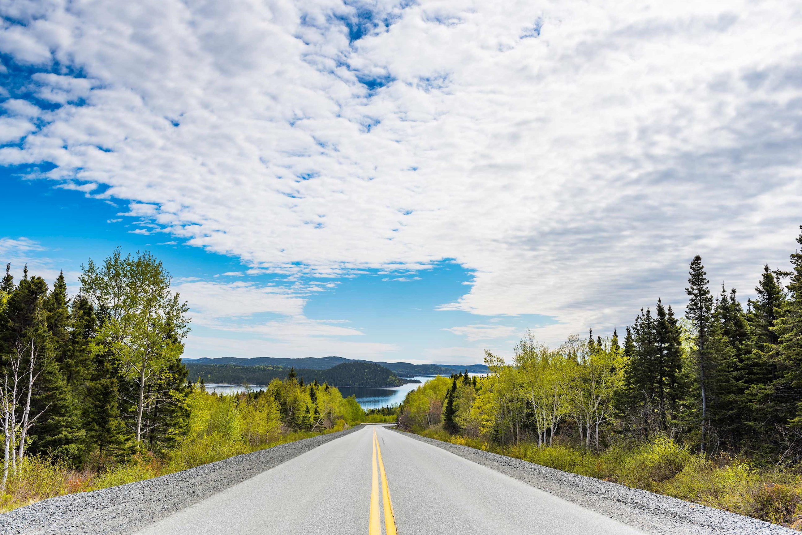road-view-gander-canada.jpg