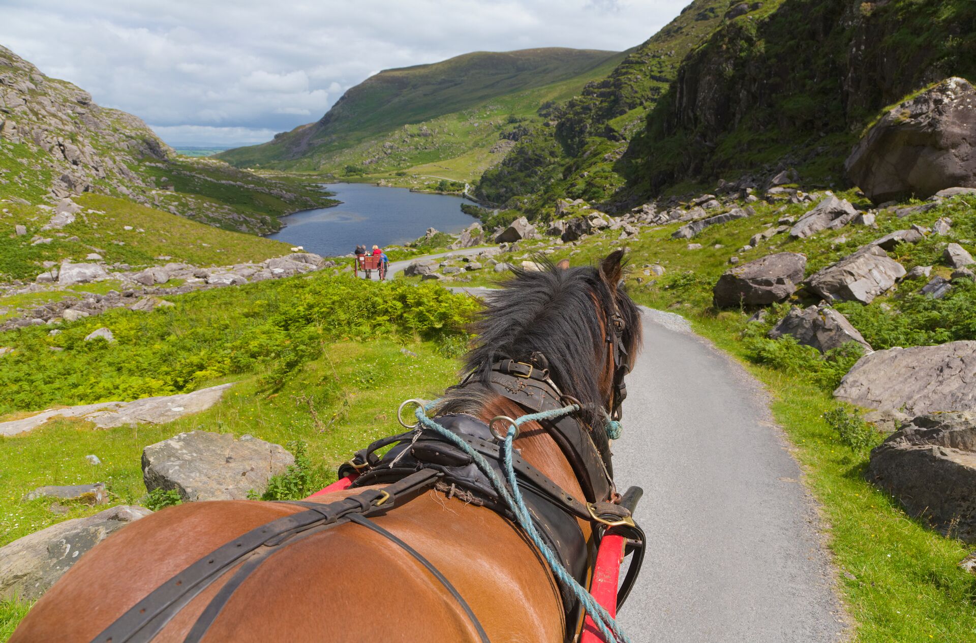Horse and Jaunting Car in the Gap Of Dunloe in County Kerry, Ireland