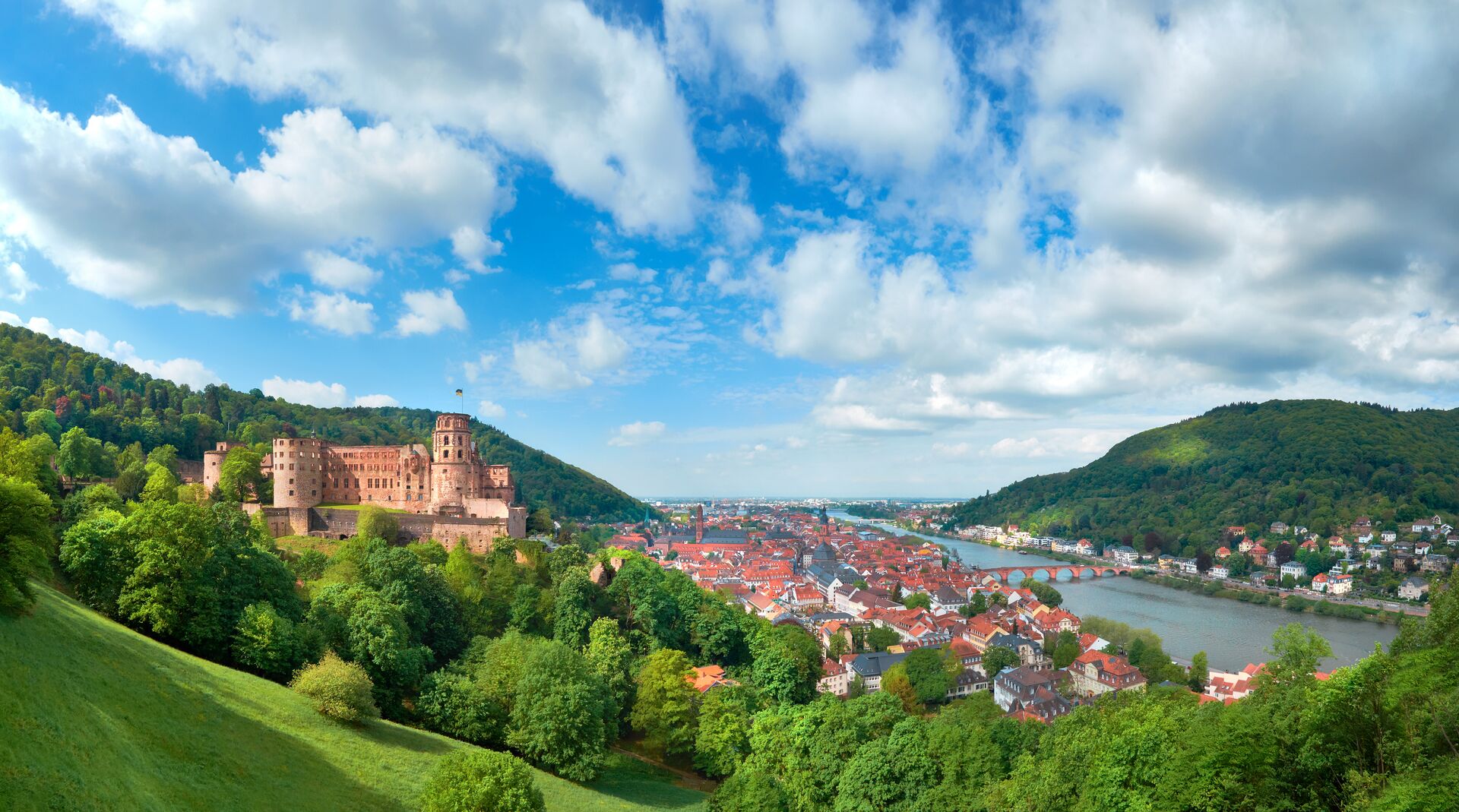 Heidelberg town in Germany and ruins of Heidelberg Castle (Heidelberger Schloss) in Spring