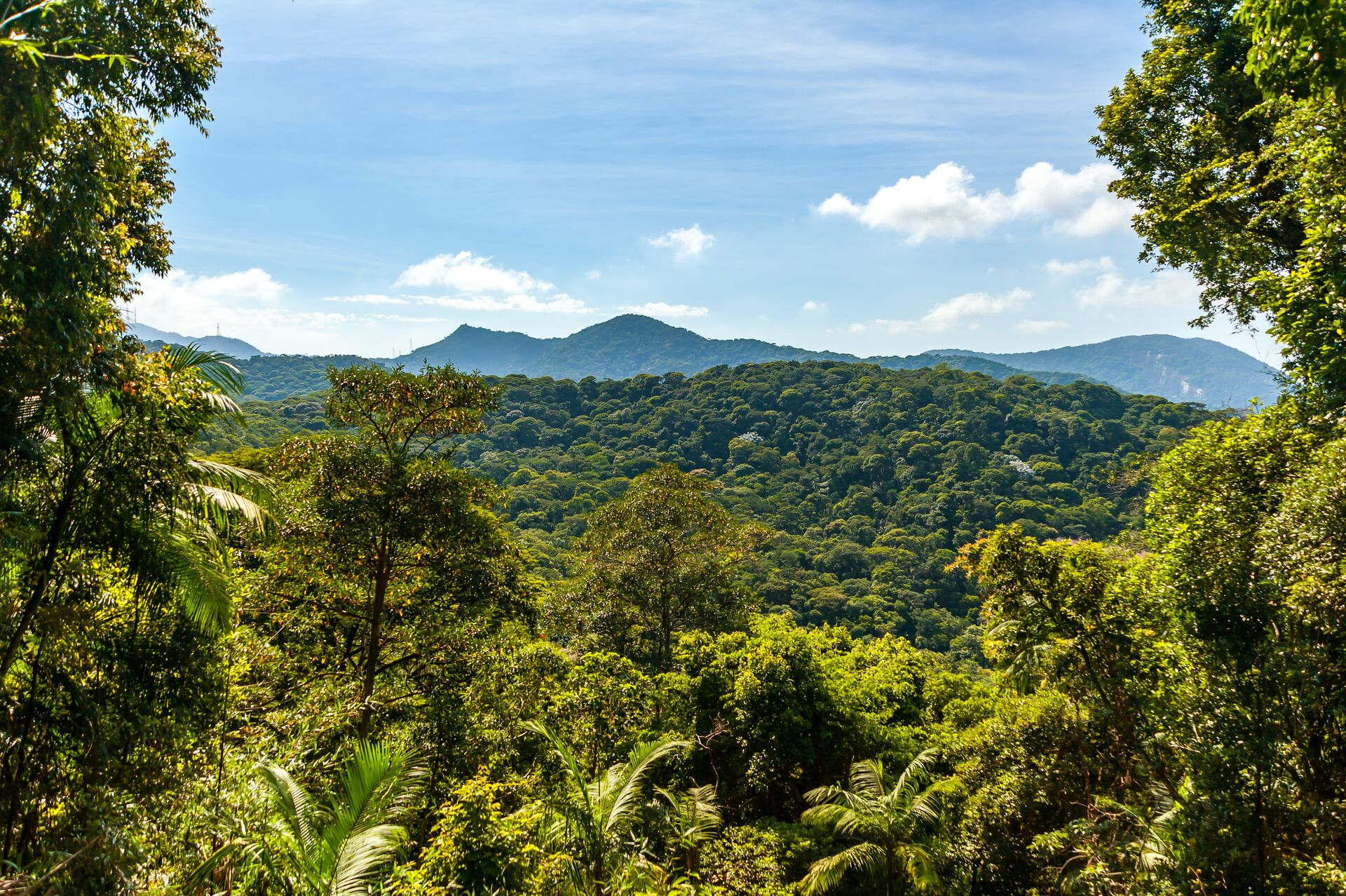 View of forest and mountains in The Tijuca National Park, Brazil