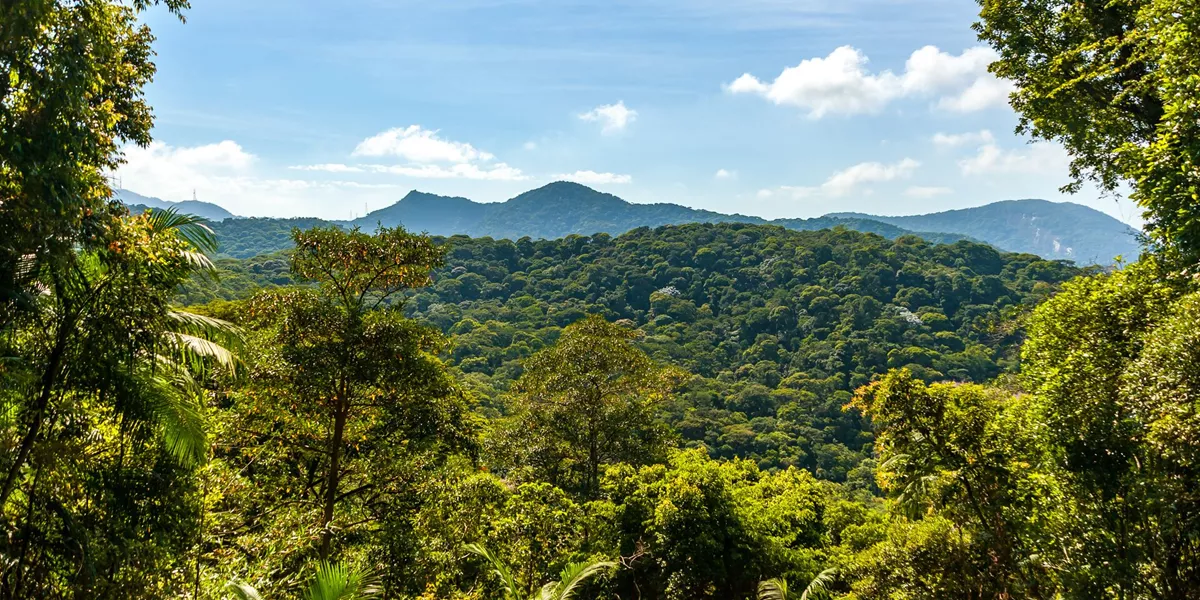 View of forest and mountains in The Tijuca National Park, Brazil