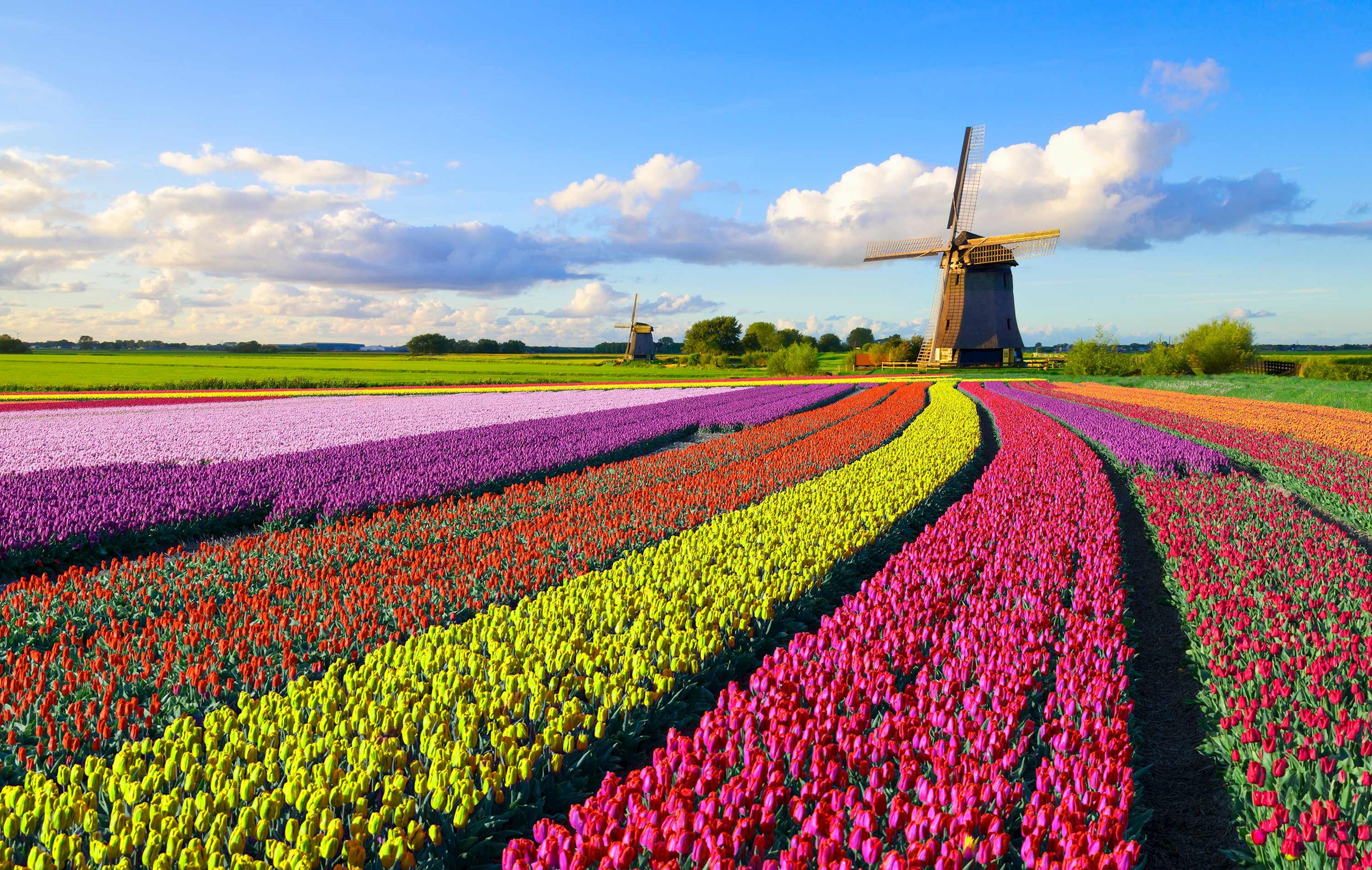 Best of Holland Tour 2025 | Flexible Bookings | Trafalgar AU
