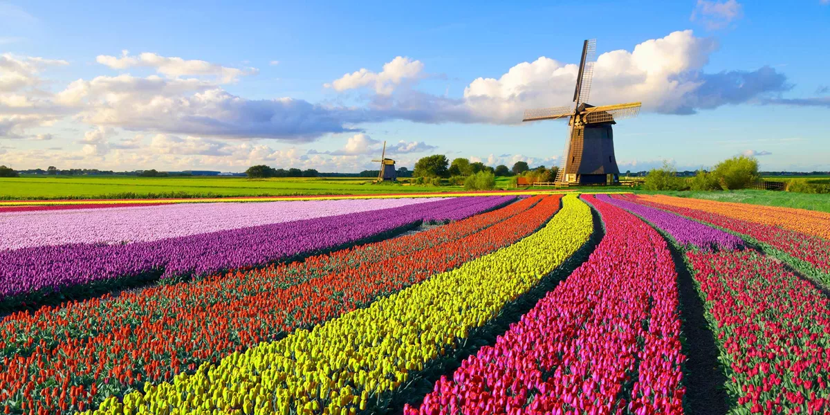 Best of Holland Guided Tour
