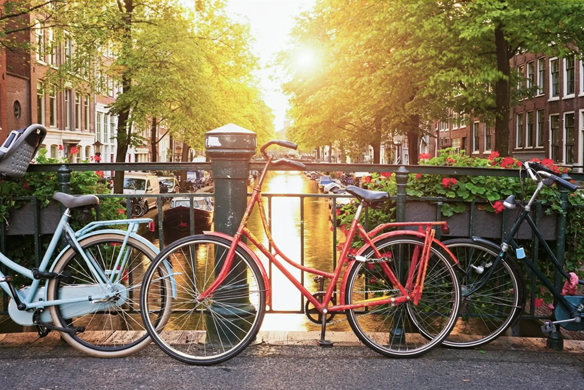 day-hero-bikes-amsterdam-netherlands-rtd.webp