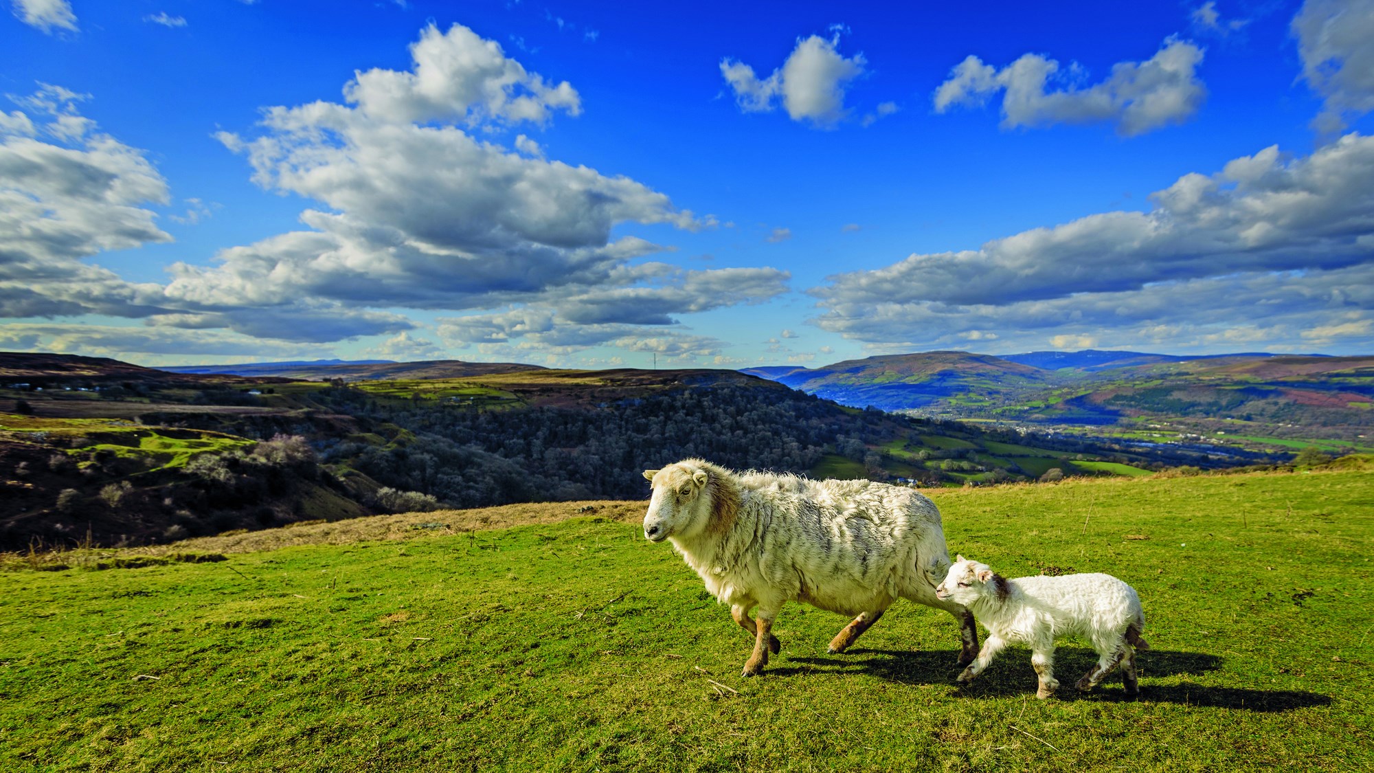 05_brecon-beacons-landscpace-brecon-beacons-wales.jpg