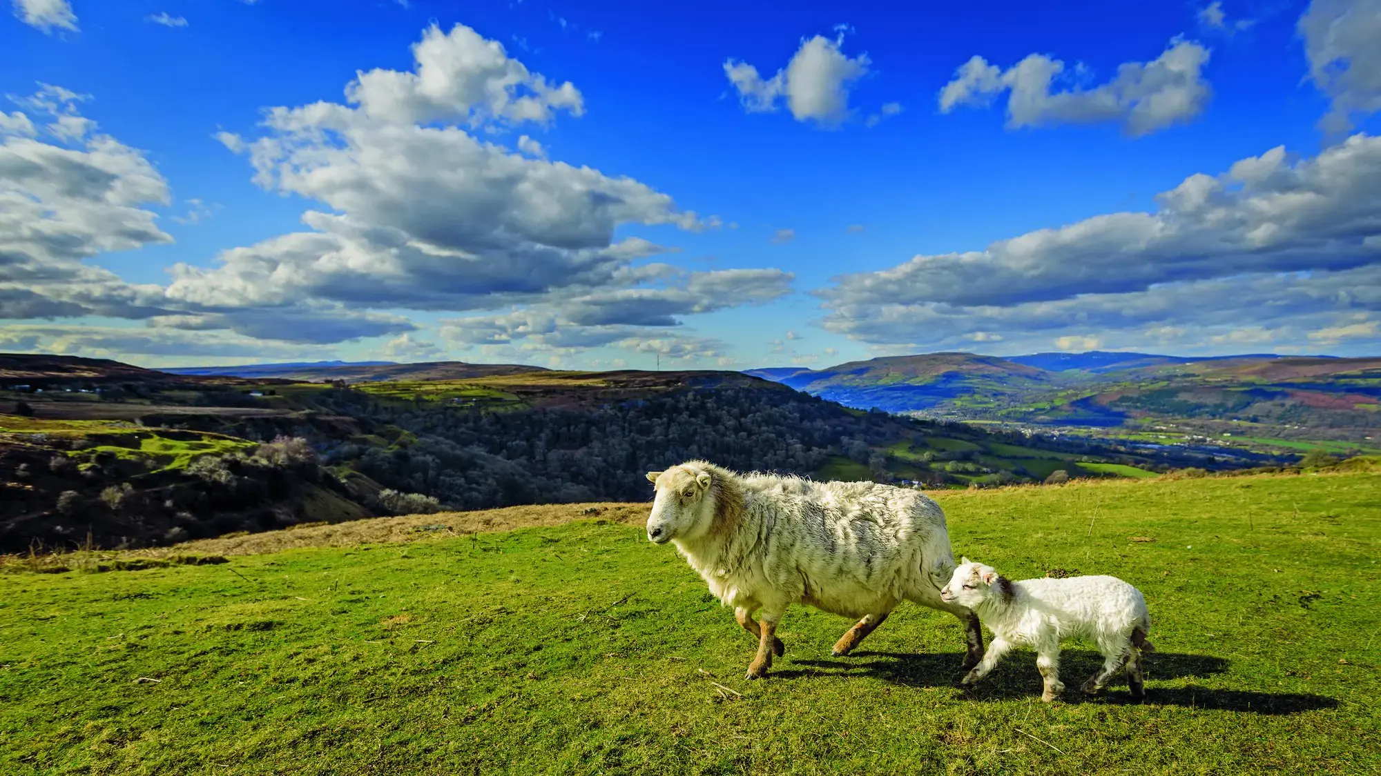 05_brecon-beacons-landscpace-brecon-beacons-wales.webp