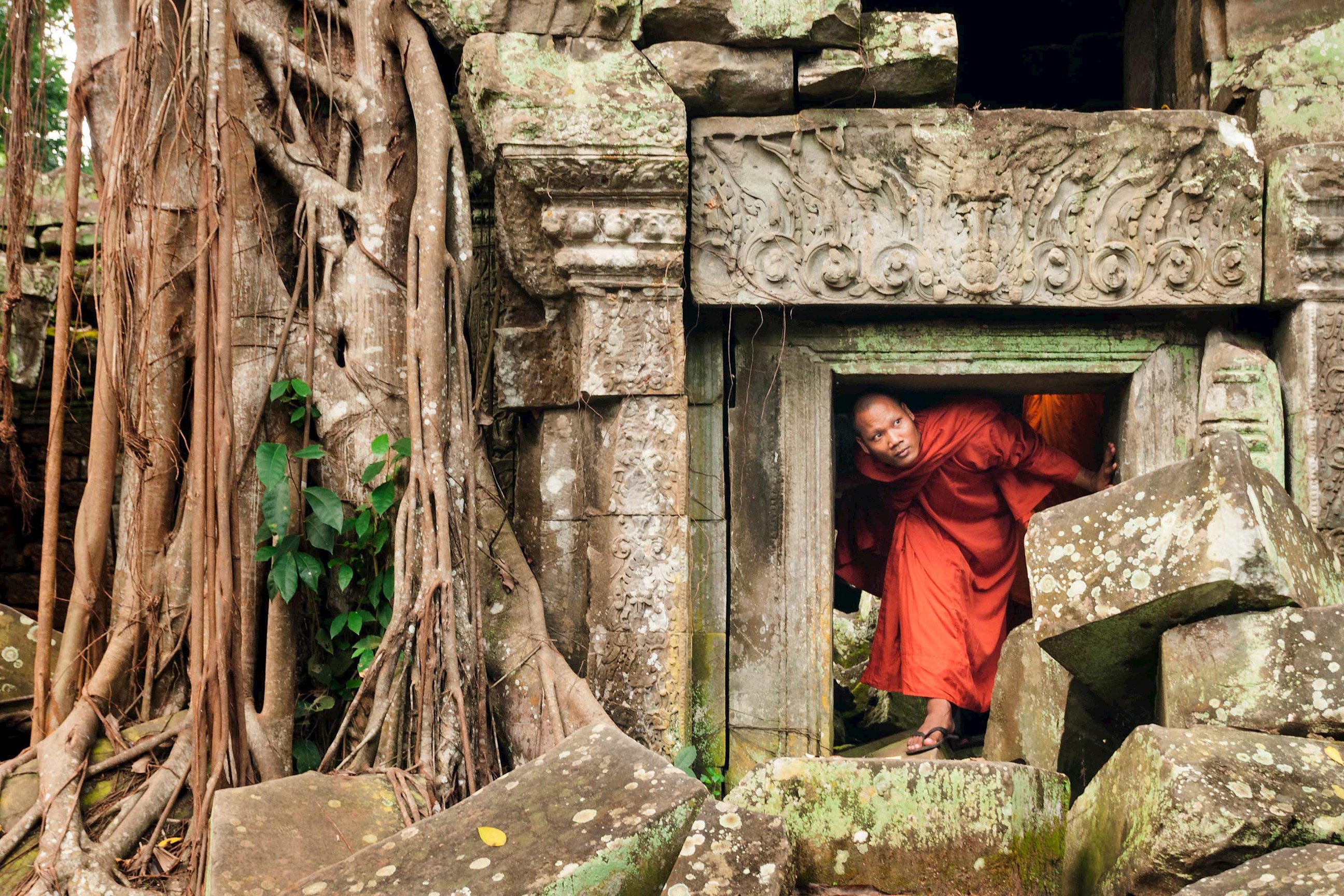 Monk navigating ancient Ta Prohm temple with encroaching roots, Siem Reap