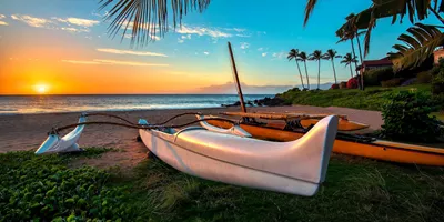 Hawaiian Explorer Guided Tour