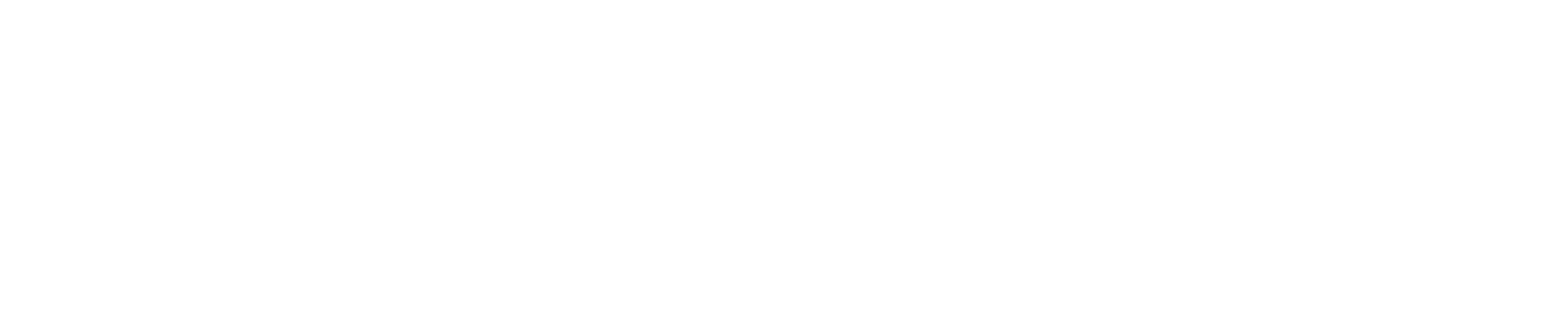 Ch Logo White