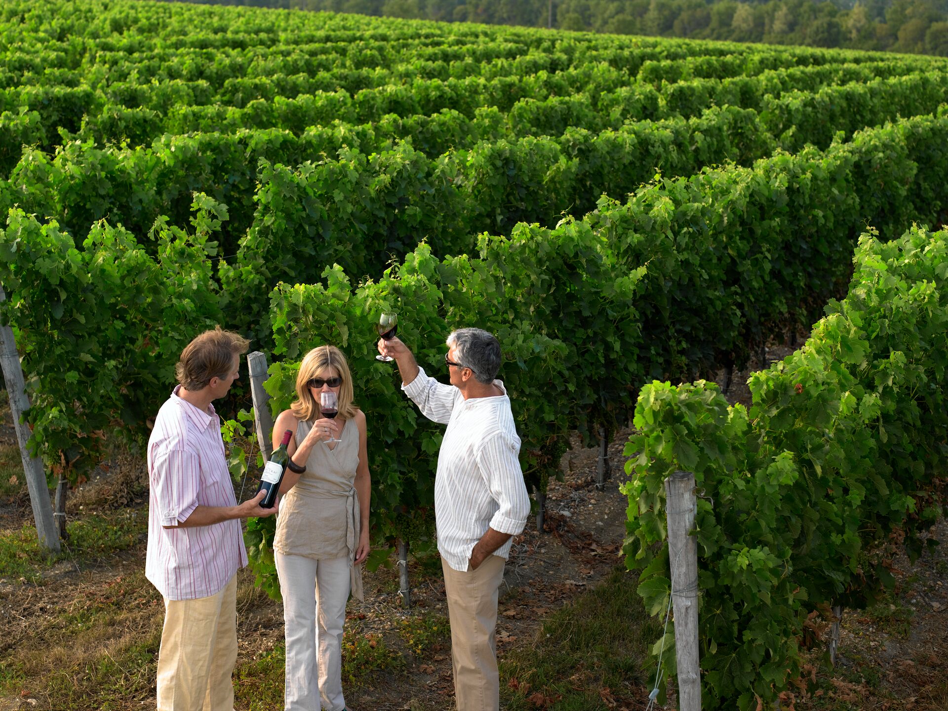 Friends drinking wine in a vineyard 