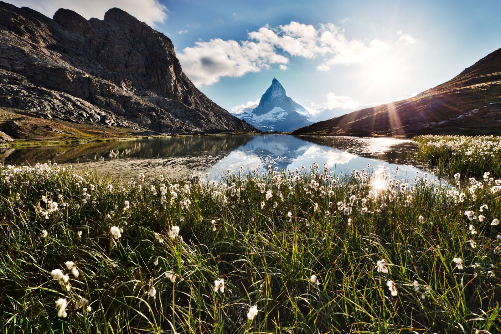 Matterhorn Mountain and Riffelsee Lake surrounded with flowers in Switzerland 