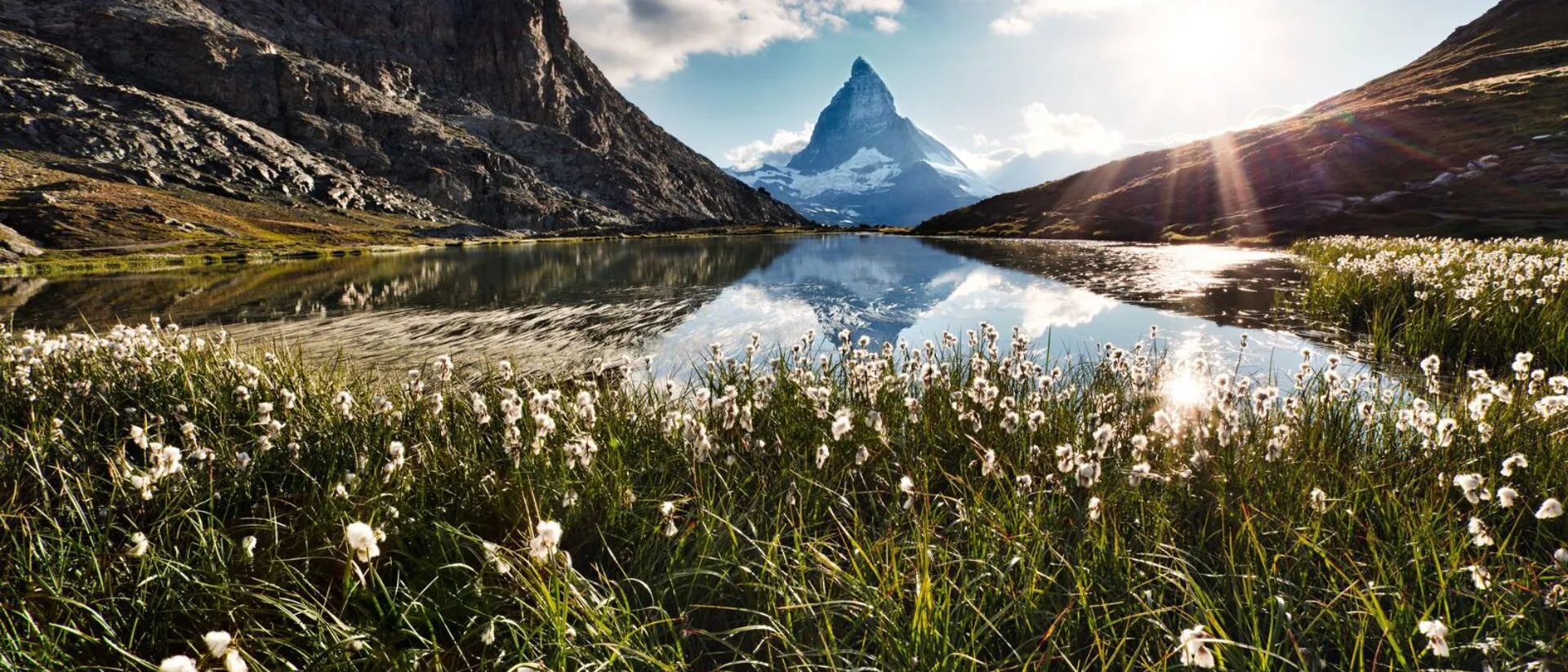 Switzerland Matterhorn Mountain Riffelsee Lake Flowers Matterhorn Mountain and Riffelsee Lake surrounded with flowers in Switzerland