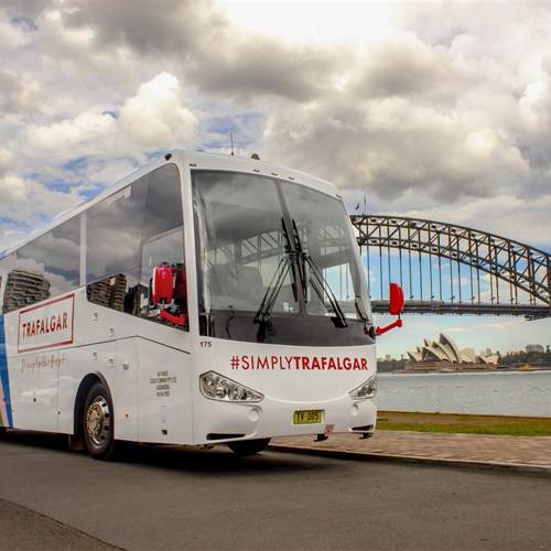 RS22151 IMG 5733Lpr TT 500X500